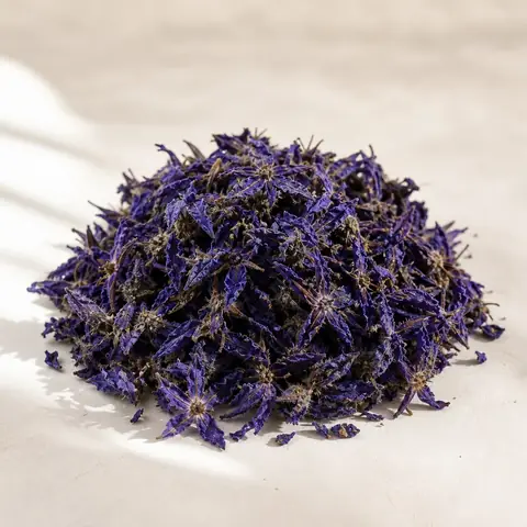 گل‌گاوزبان